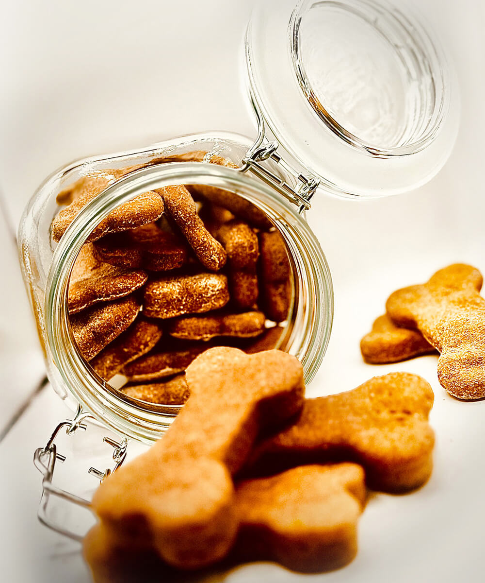 peanut butter dog treats