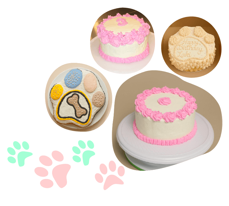 custom dog cakes dog food for picky eaters | custom dog cakes dog food for picky eaters