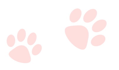 paws 4 | paws 4