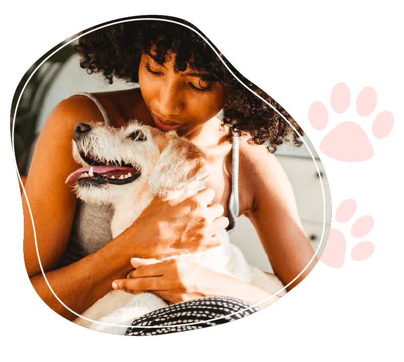 snacks dog food for picky eaters | snacks dog food for picky eaters