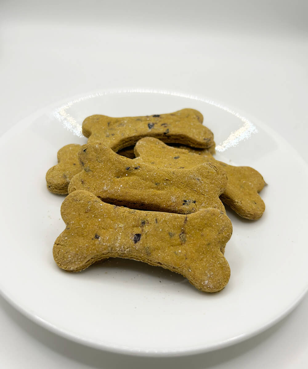 blueberry and pumpkin dog treats