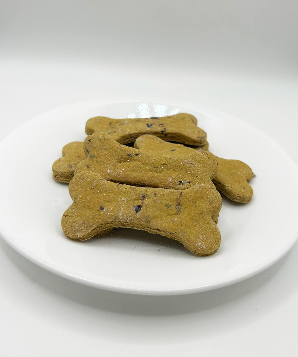 blueberry and pumpkin dog treats